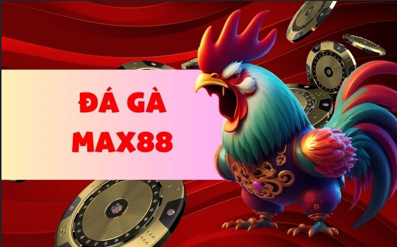 đá gà max88
